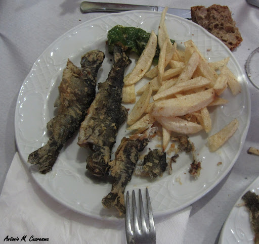 EXPERIENCIA EN EL CAMINO DE SANTIAGO DESDE PONFERRADA AGOSTO DE 2013 (CAMINO FRANCÉS)