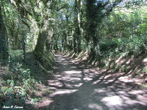 EXPERIENCIA EN EL CAMINO DE SANTIAGO DESDE PONFERRADA AGOSTO DE 2013 (CAMINO FRANCÉS)