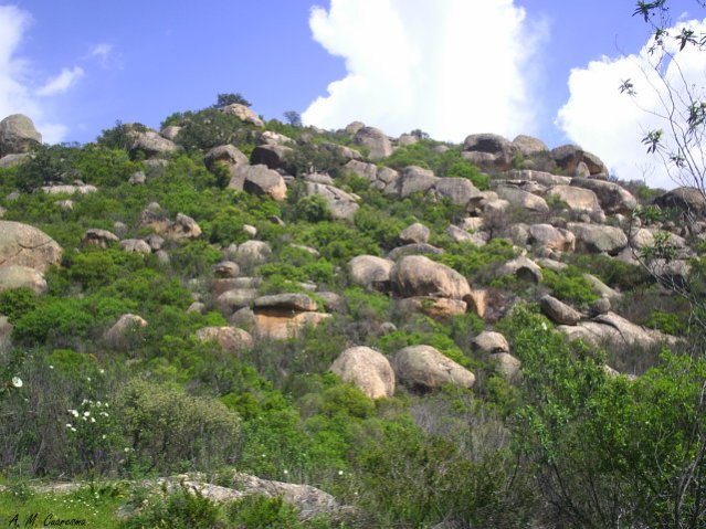 Paraje Natural de las peñas