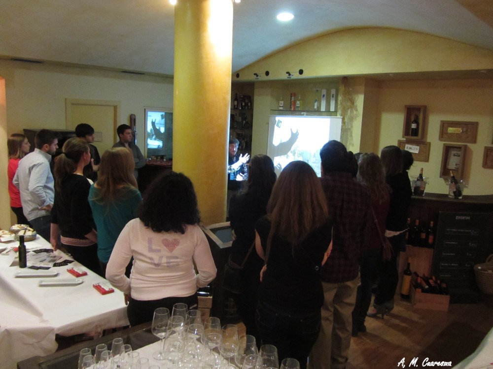 Juan Hurtado. Guadalbero S.L (2)