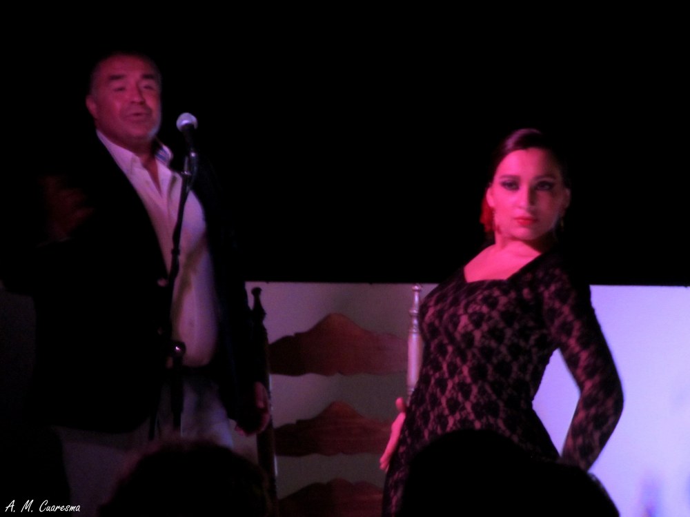 Velá flamenca en Aroche (34)