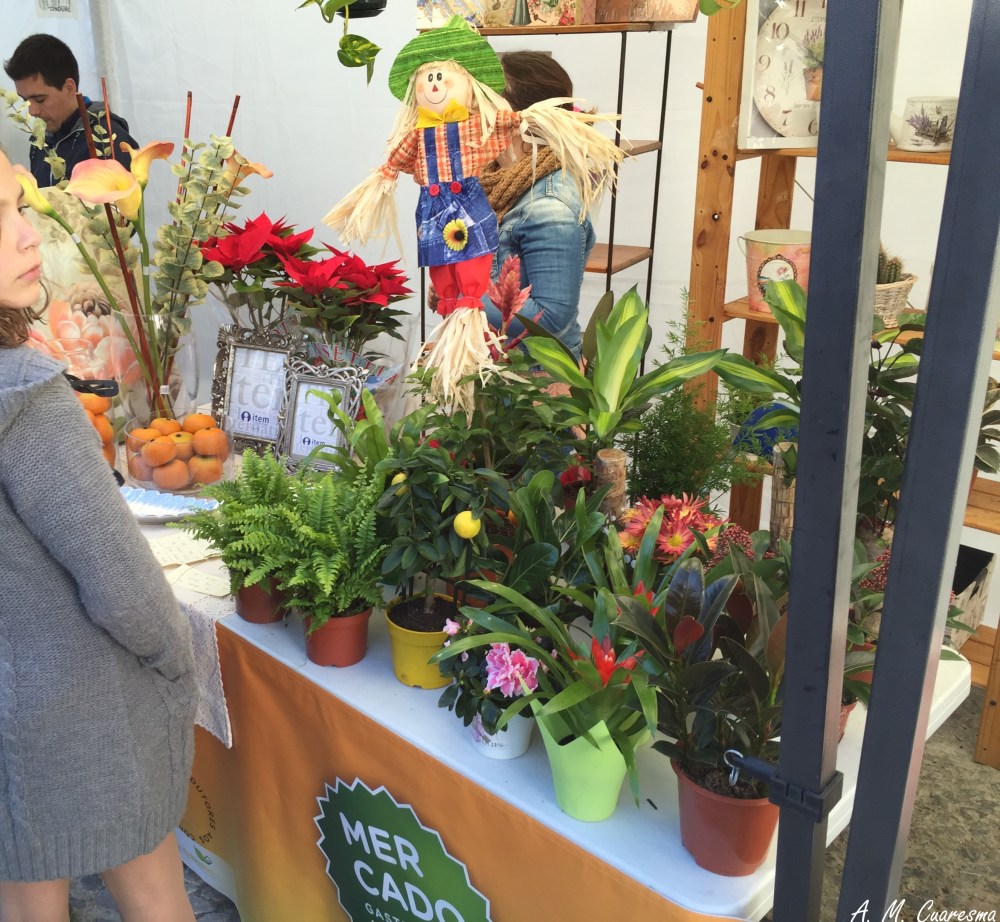 Mercado de gastronomía