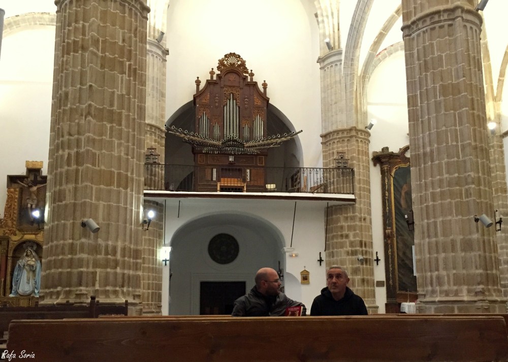 Chamizo 31-1-15  (6)