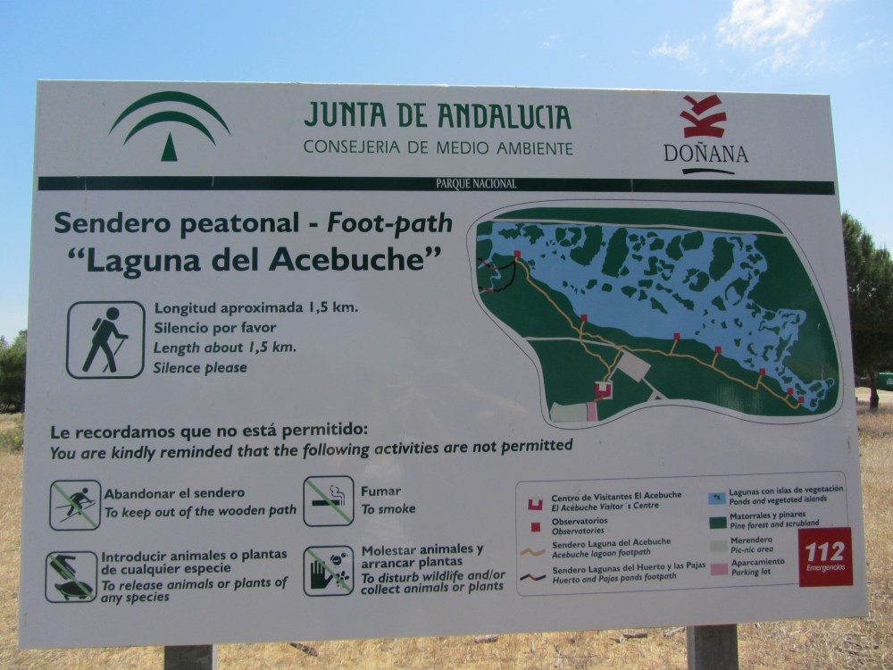 Doñana