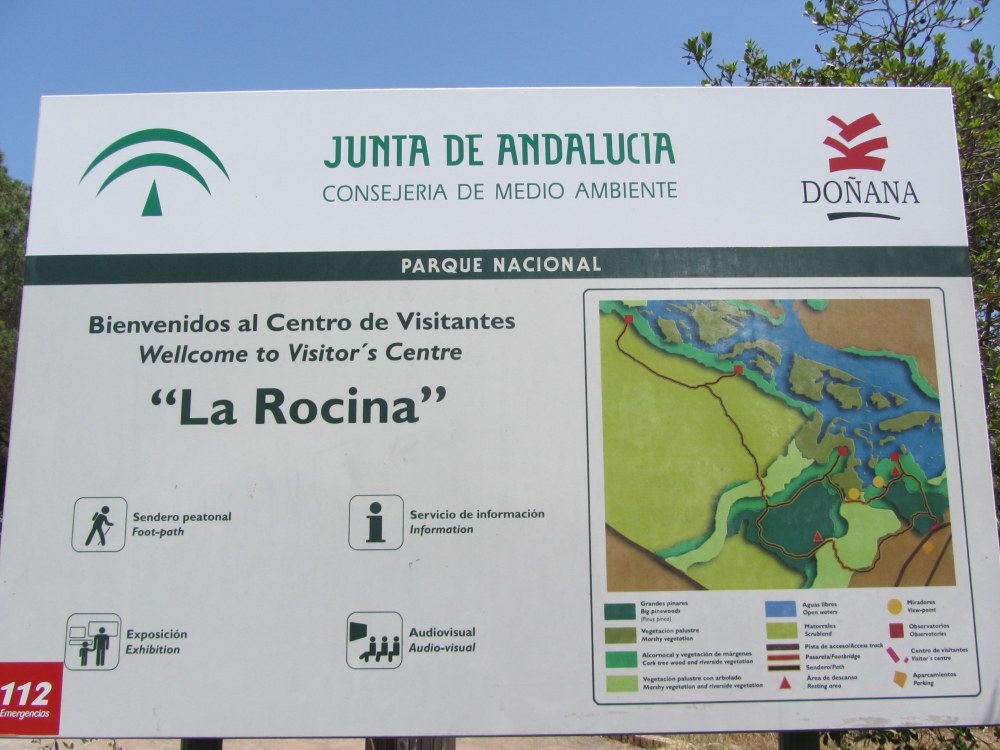 Doñana