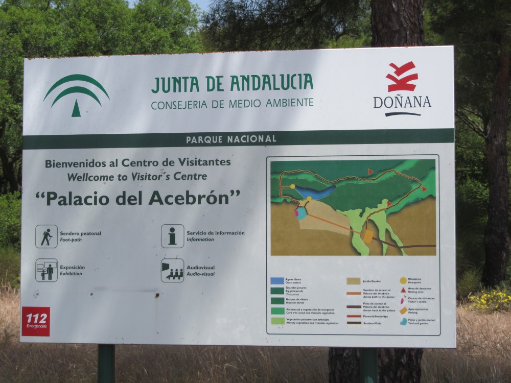 Doñana (15)