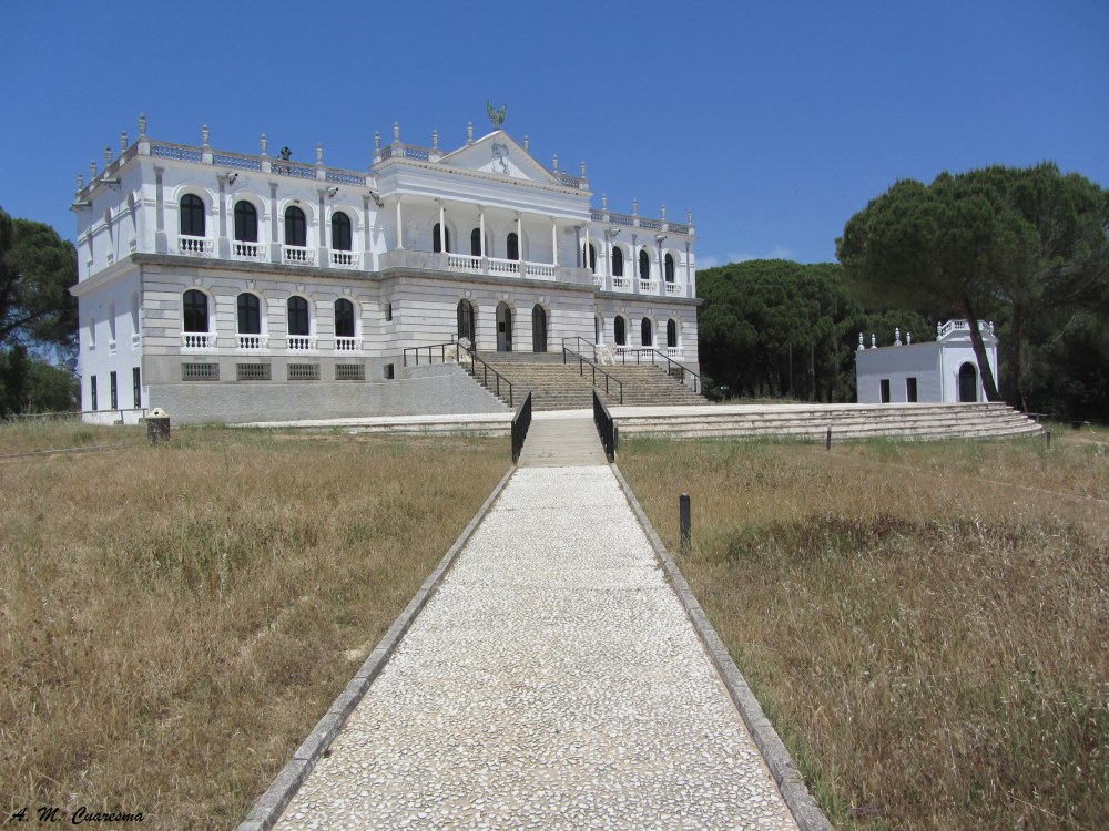 Doñana