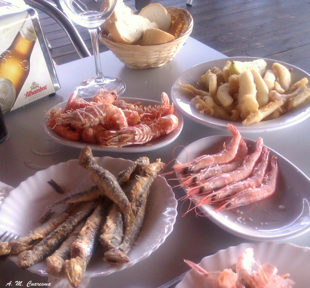 Doñana (3)