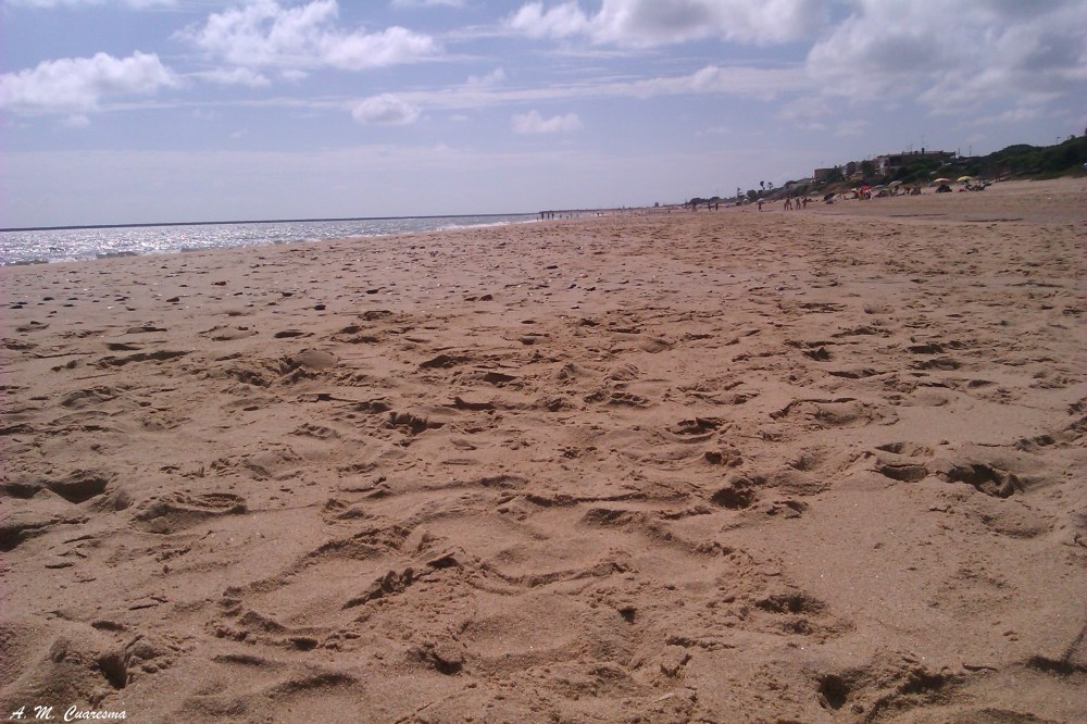 Doñana (4)