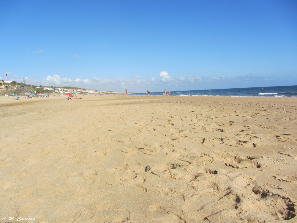 Doñana (8)