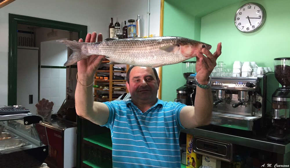 II Feria de la Tapa Aroche