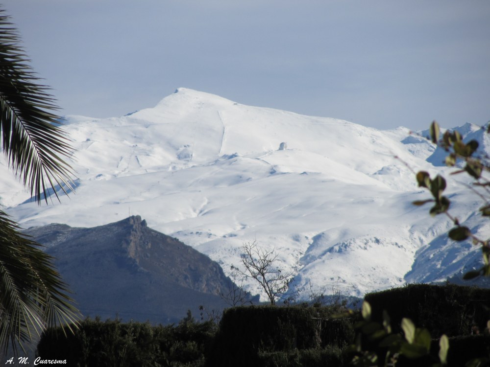 Sierra Nevada 