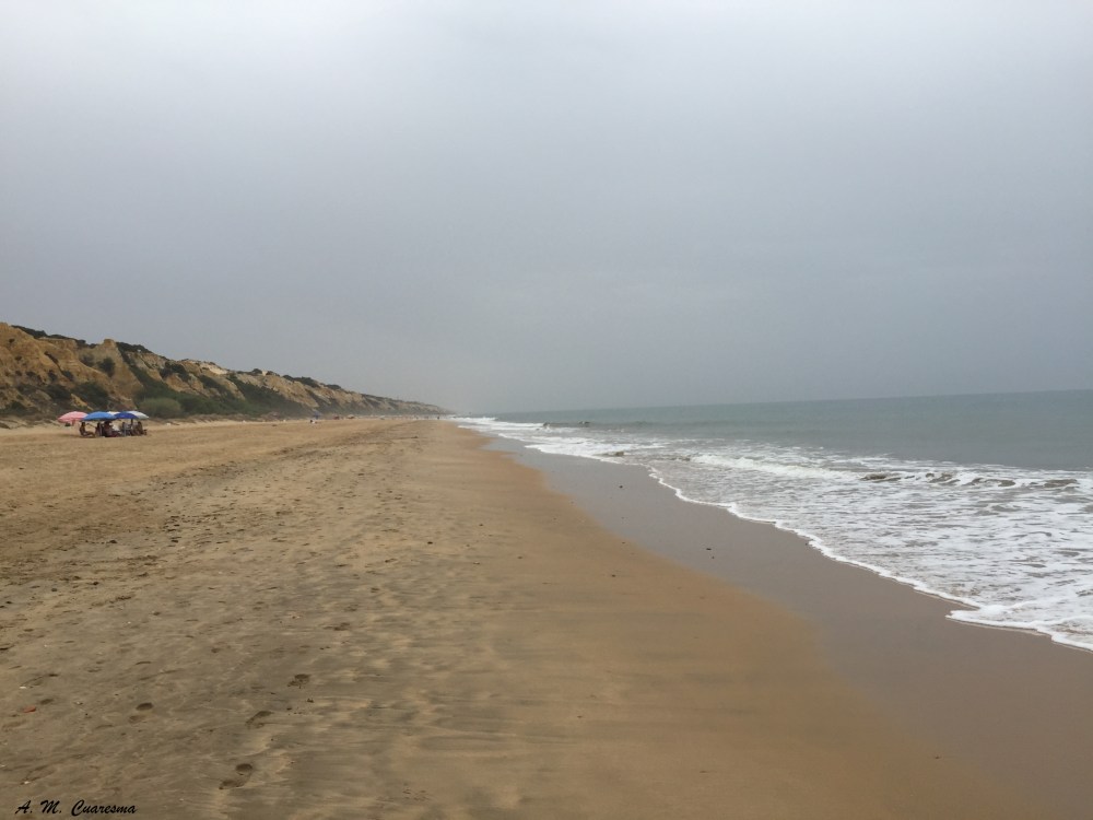 Playas Doñana