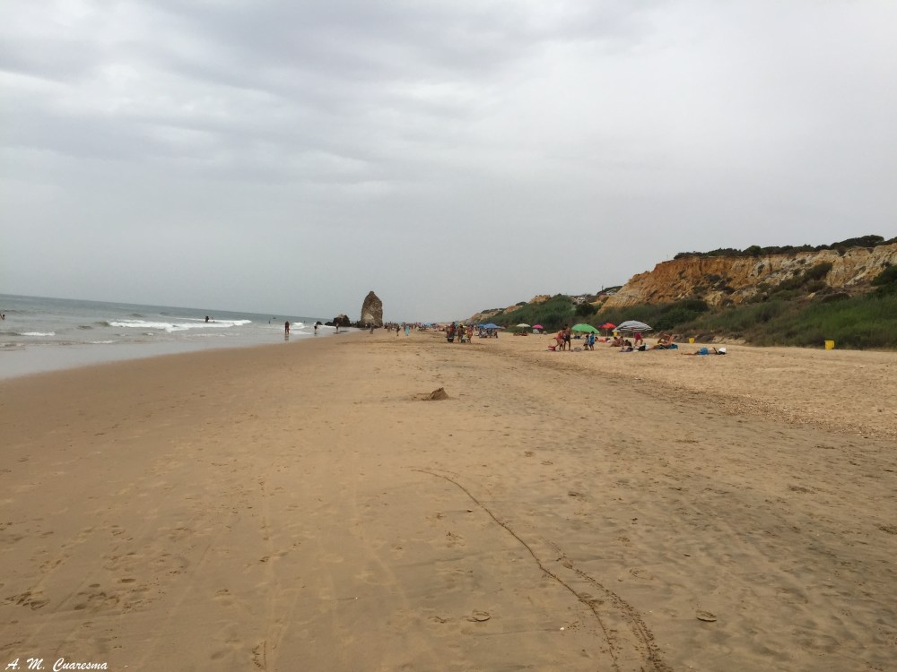 Playas Doñana (44)