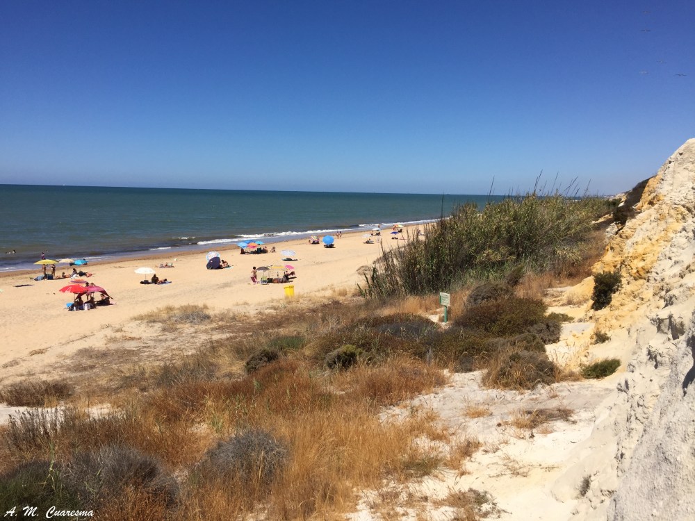 Playas Doñana