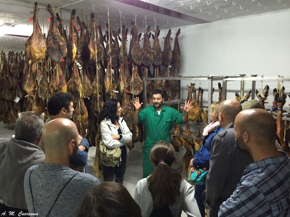 Visita al matadero a cargo de Joaquín Ramos