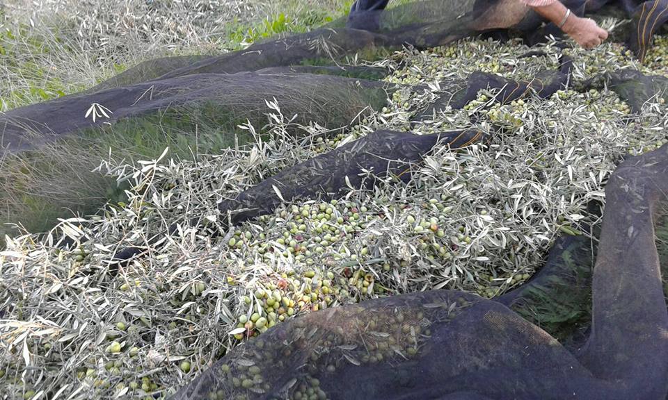 Juan Pablo Cuaresma.