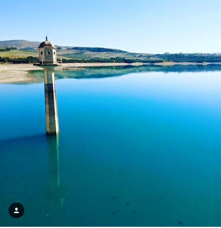 María José Navas (2)