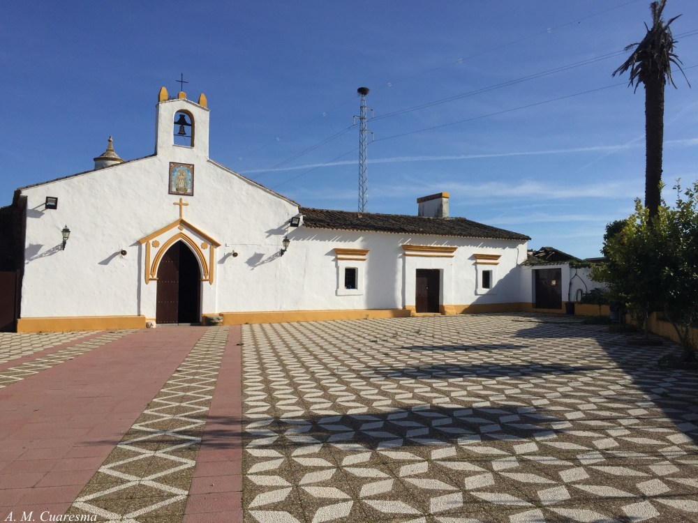 23-1-16 Rutass (100)