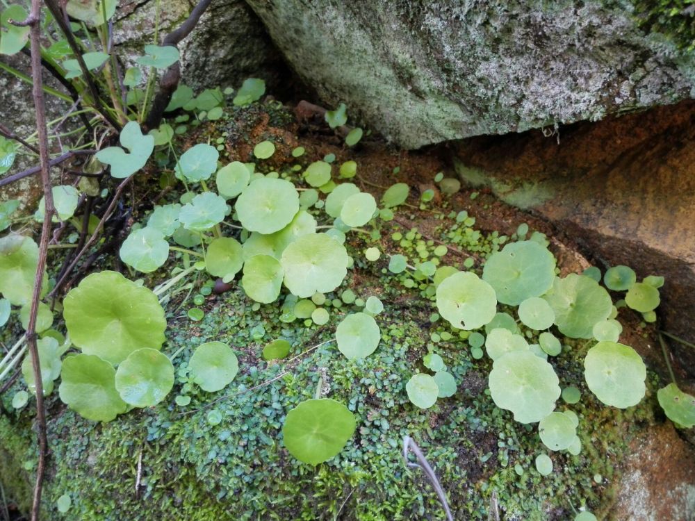 9 María José Navas