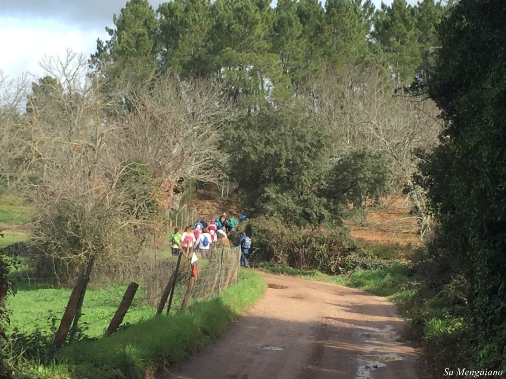 Sendero por los Marines (61)