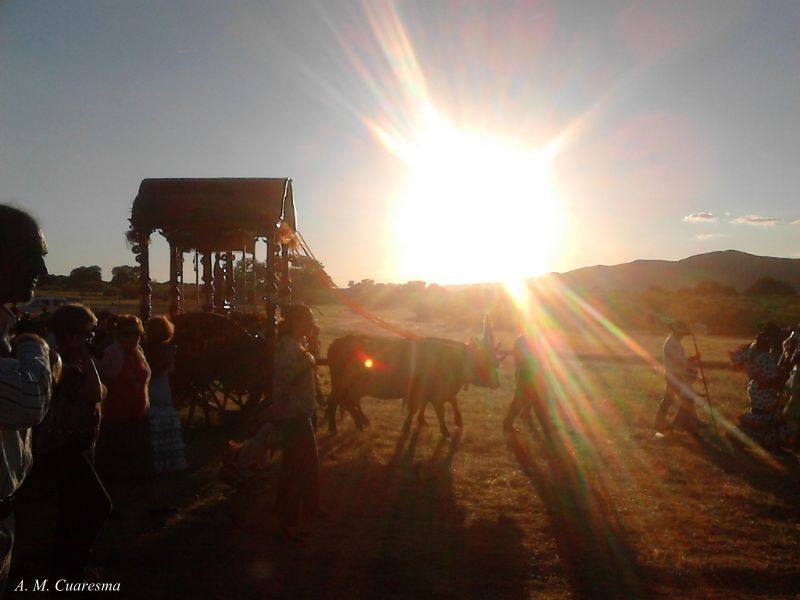 Romería de Aroche 2014 (98)