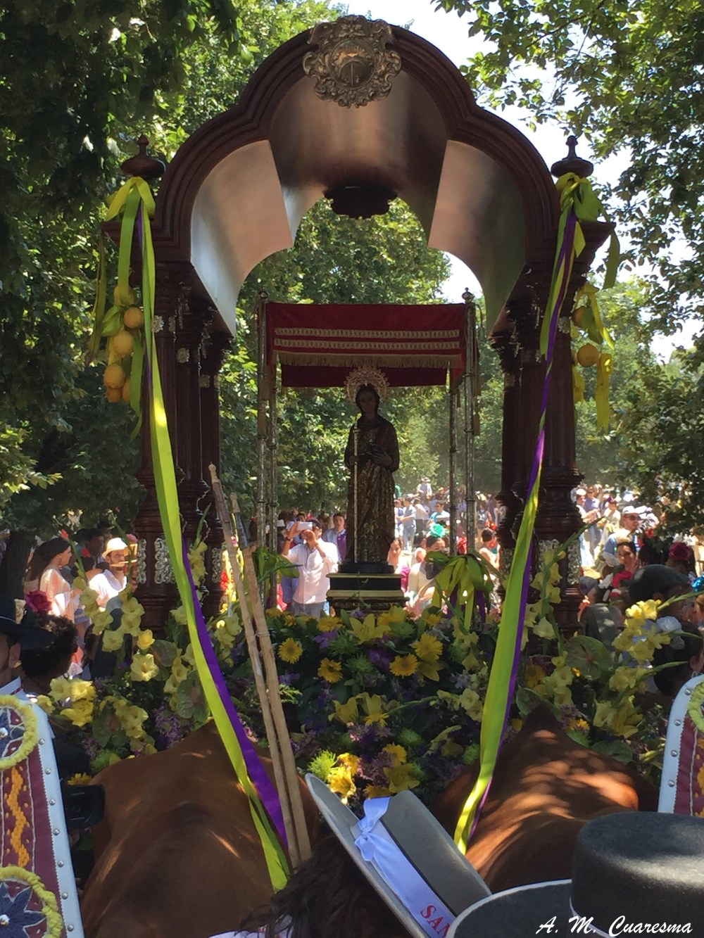 Romería de Aroche 2015 (18)