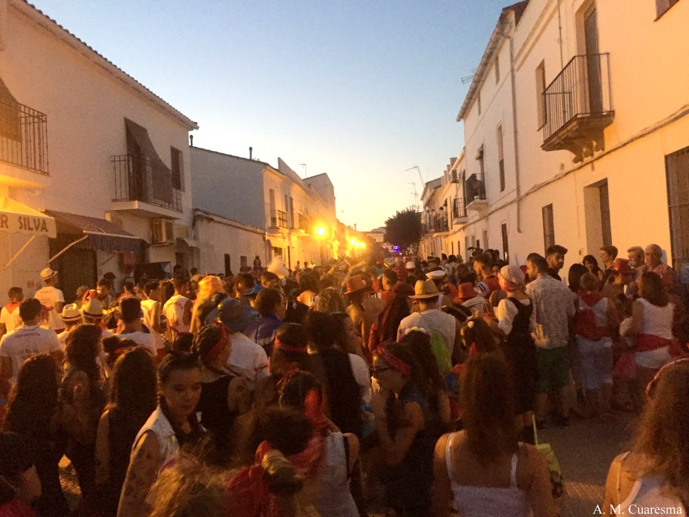 Carnaval de Aroche 2016 (14)