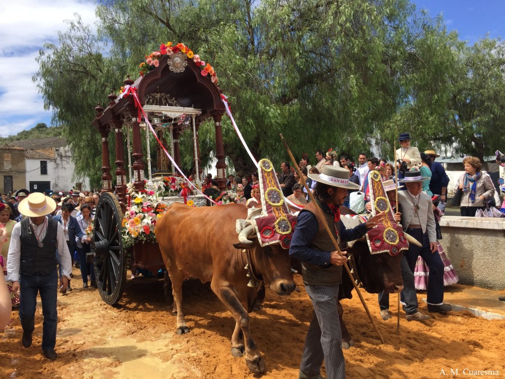 Romería de Aroche 2016 (10)