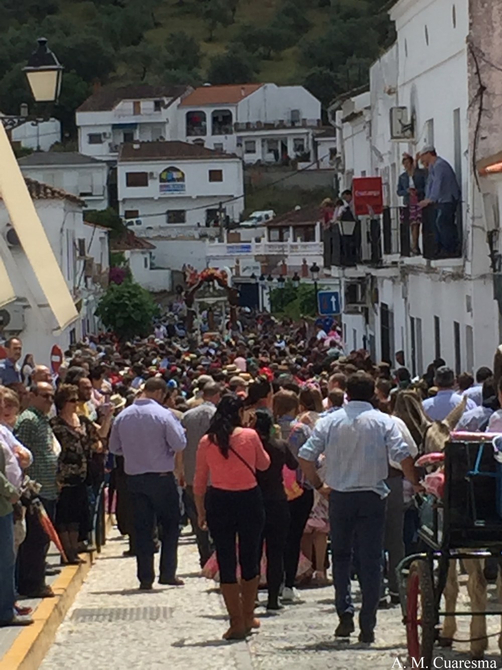 Romería de Aroche 2016 (11)