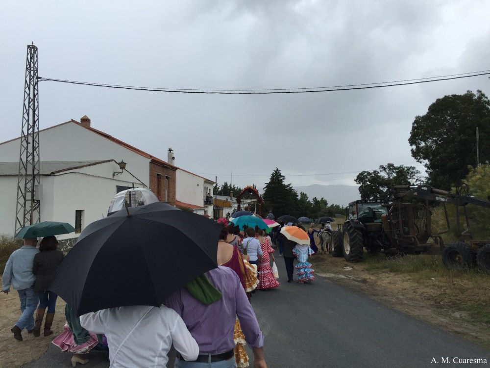 Romería de Aroche 2016 (12)
