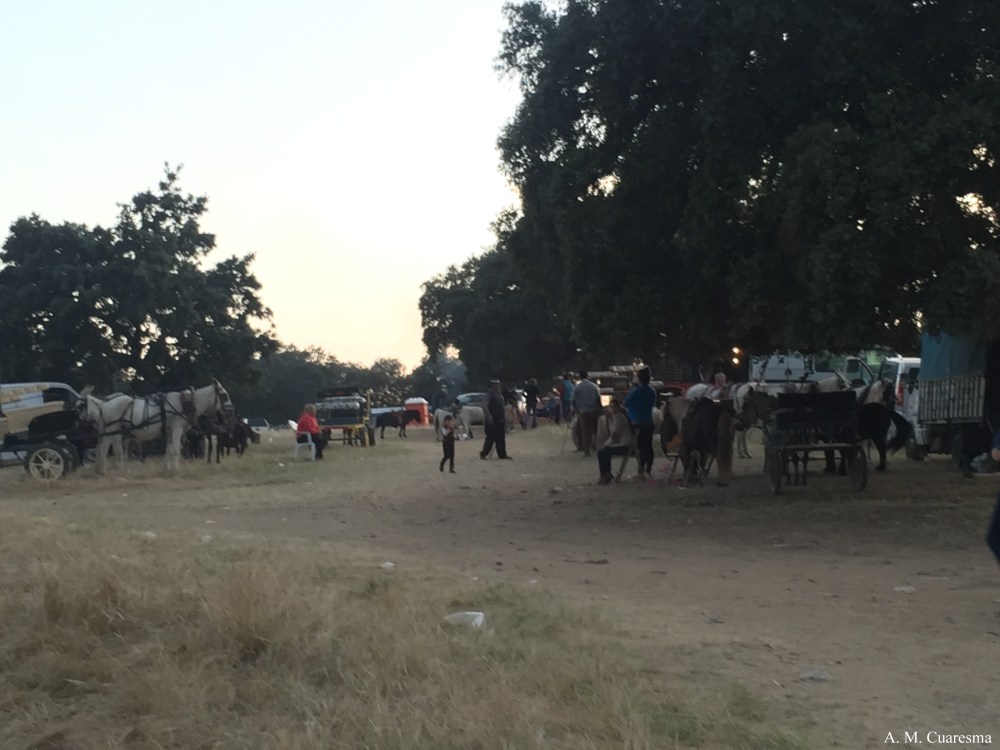 Romería de Aroche 2016 (48)