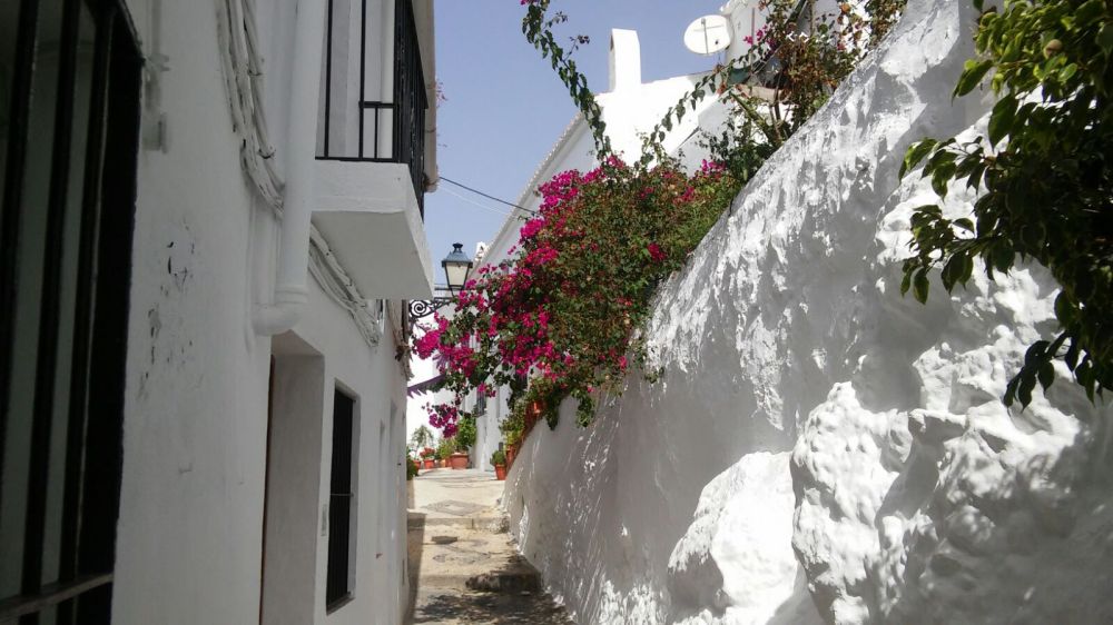 9. Manuel Rayo Hermoso