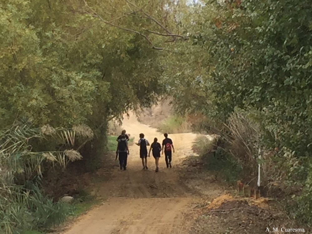 via-de-la-plata-2016-51