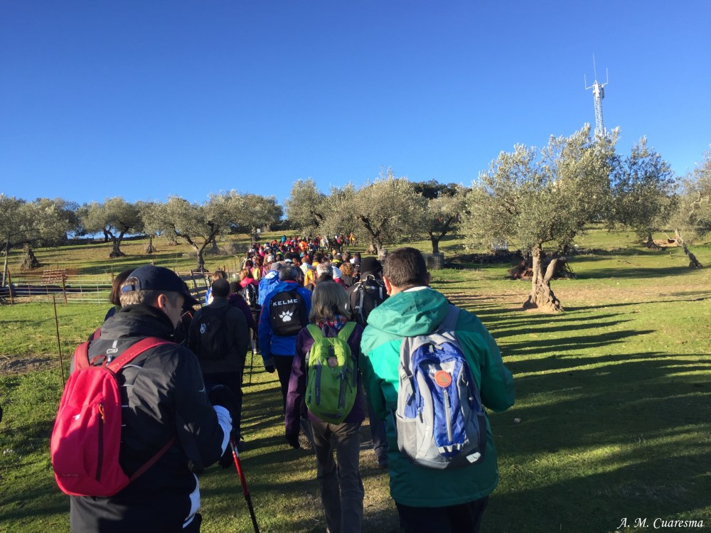 encinasola-15-1-17-9