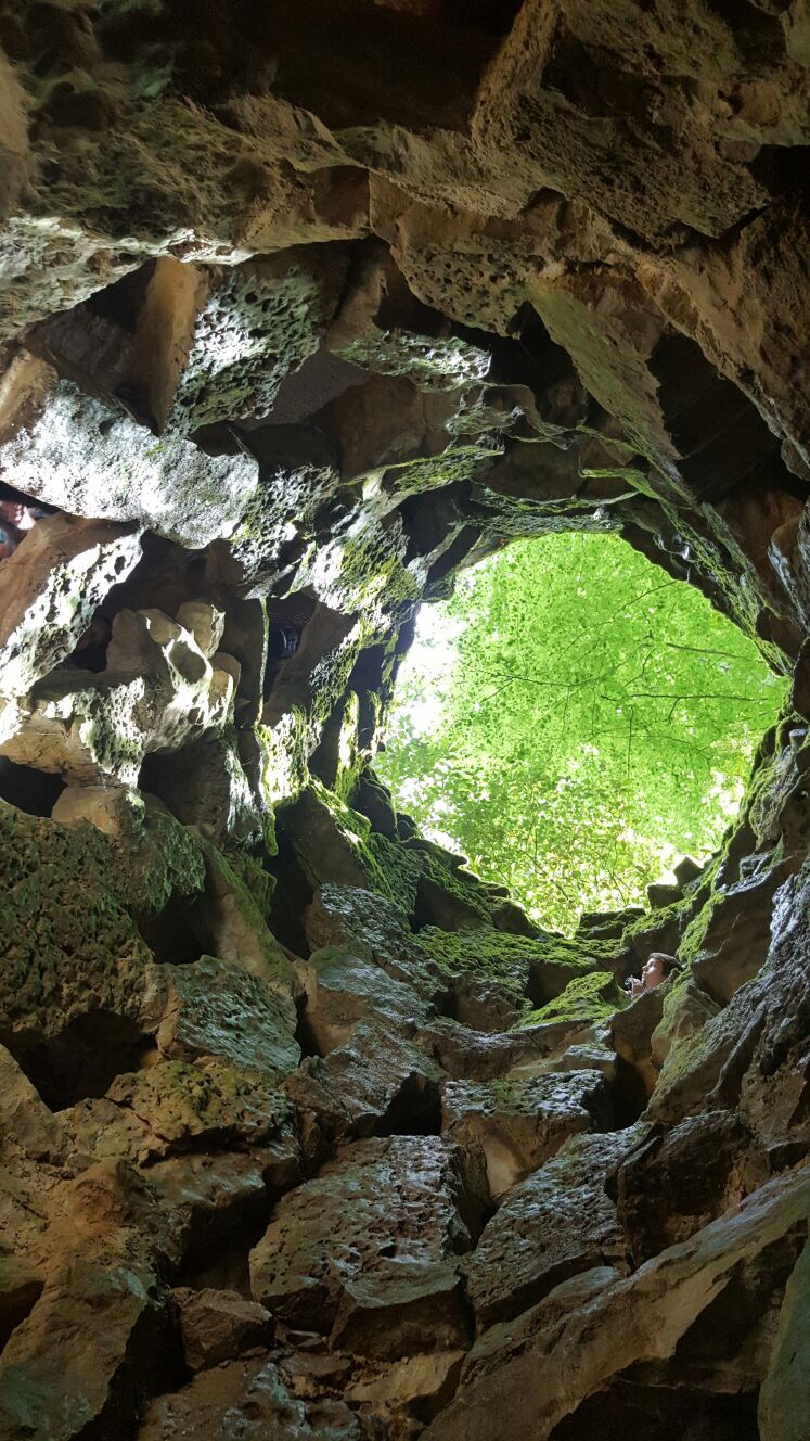 Fernando Maestre (15)