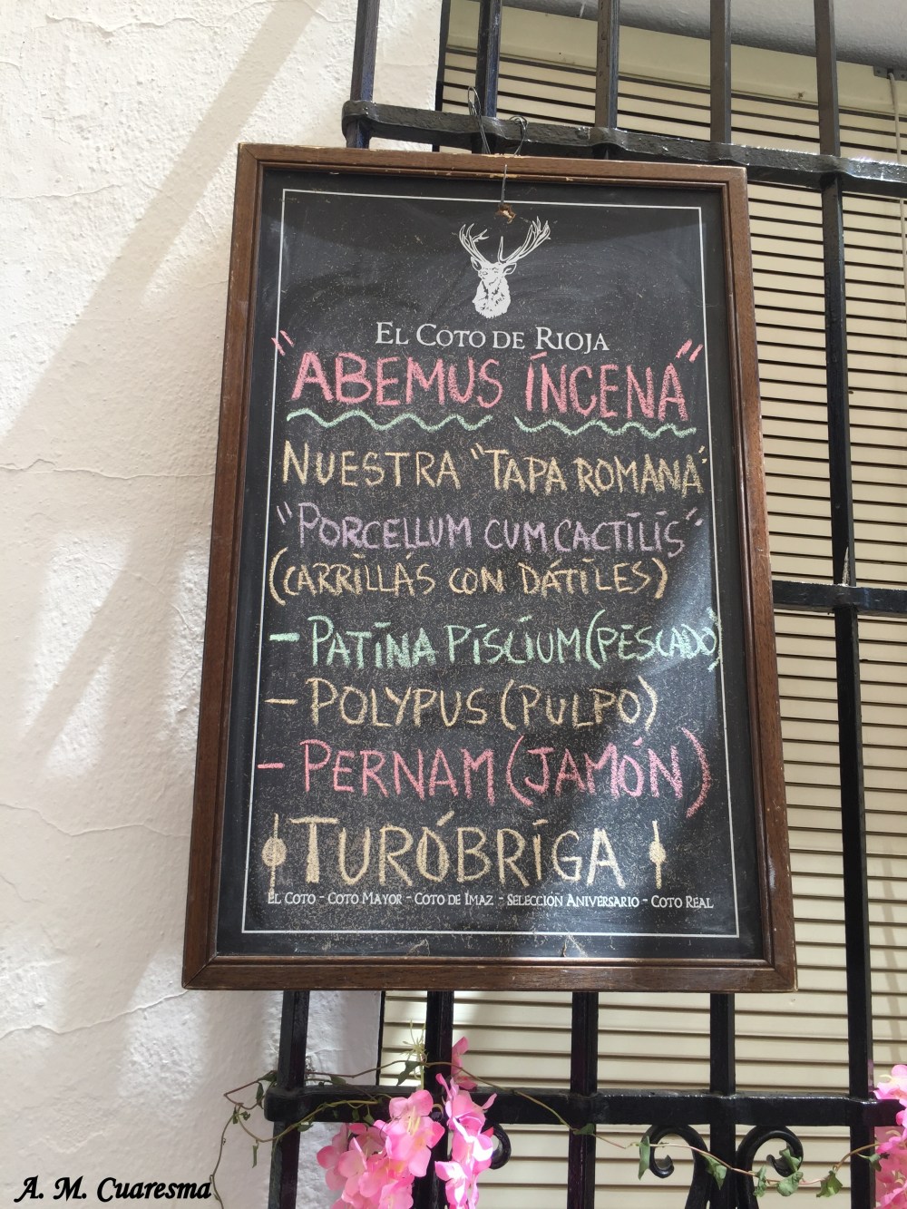 IV Festival de Diana 2017 (17)