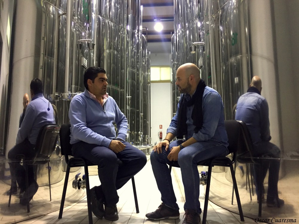 Oleosierra Encinasola (2)