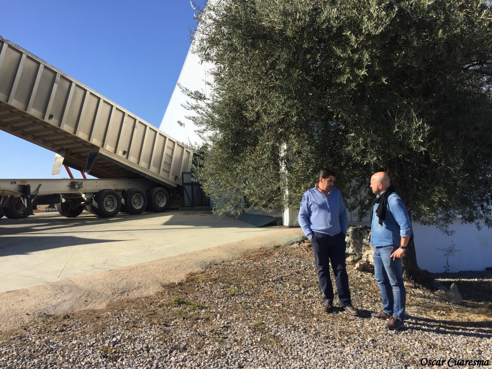 Oleosierra Encinasola (5)