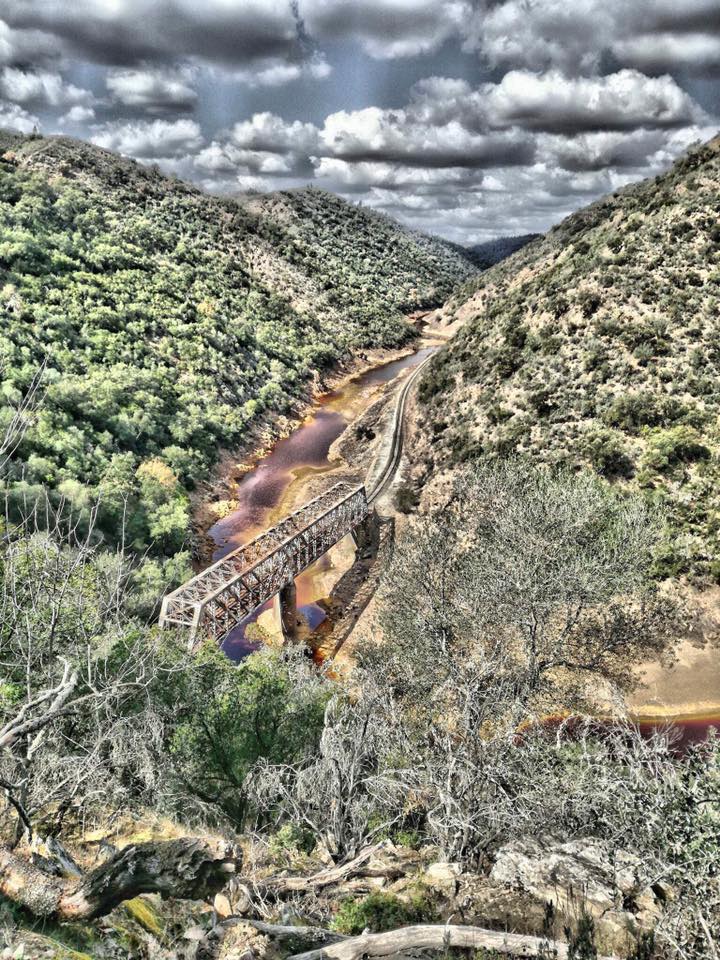 10. Jesús Torre Marín